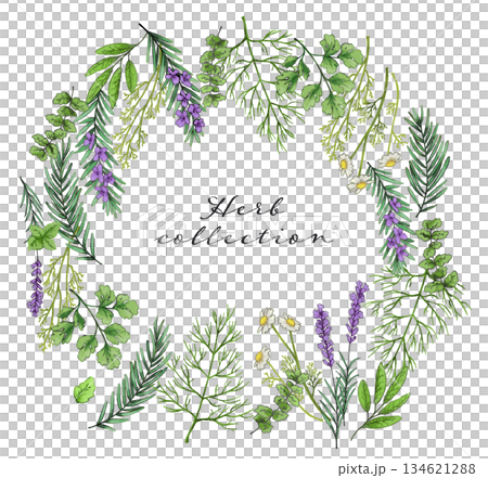 ハーブの円形イラスト 134621288