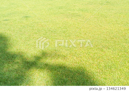緑色の芝生,公園,アウトドア,キャンプ場のイメージ 134621349