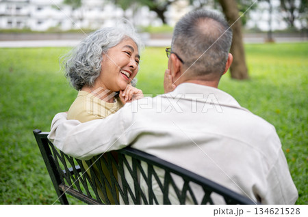 Close up of old woman smiling talking to a glasses old man while sitting together on bench in park. 134621528