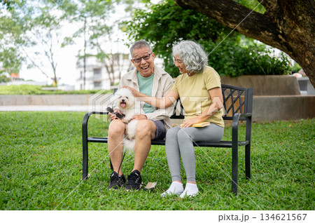 Old man holding puppy and a woman patting or playing with the dog while sitting on bench in the park 134621567
