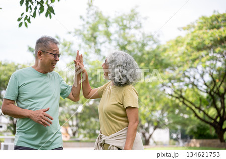 Glasses old man and old woman clapping hands or high five after exercise or workout together in park 134621753