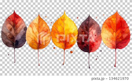 Watercolor illustration of leaves 134621970