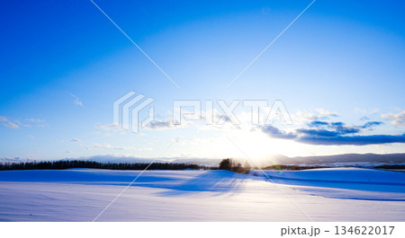 夕暮れ間近の冬の北海道美瑛町の丘の風景 134622017