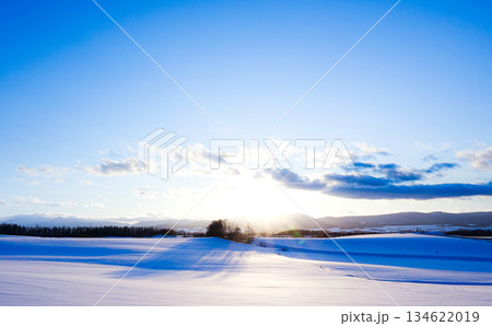 夕暮れ間近の冬の北海道美瑛町の丘の風景 134622019