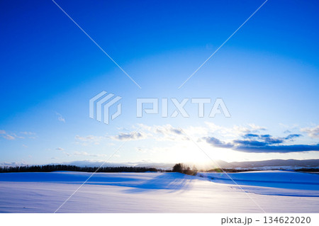 夕暮れ間近の冬の北海道美瑛町の丘の風景 134622020