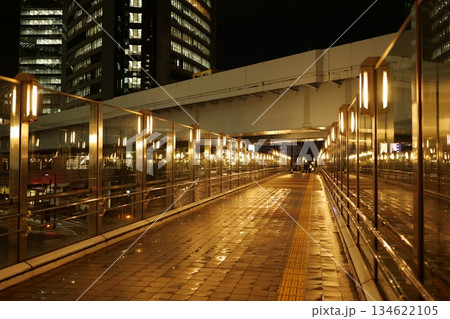 東京の夜の歩道橋 東京の夜の歩道橋 134622105