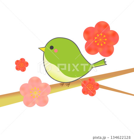 梅の花とウグイス 134622128