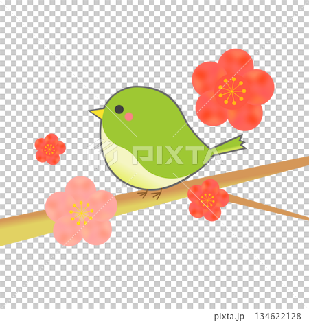 Plum blossoms and beetle Plum blossoms and beetle 134622128