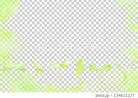 A refreshing spring watercolor frame with various shaped sprouts. 134622227