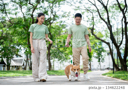 Smiling young asian man and woman holding a leash on corgi puppy while walking on park's pavement. 134622248