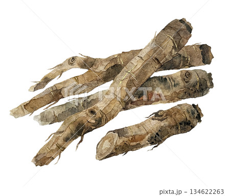 和紙で表現されたごぼう 134622263