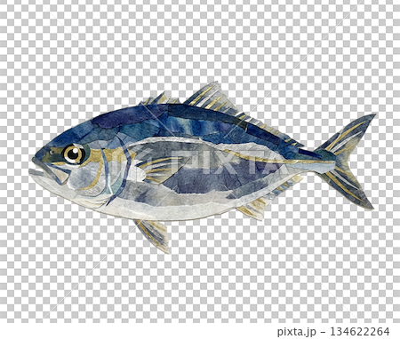 Winter yellowtail rendered in washi paper 134622264