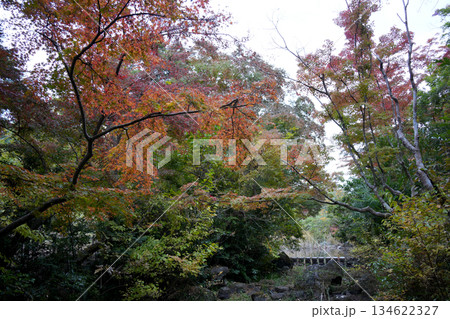 秋の庭園 秋の庭園 134622327