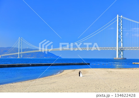 【兵庫県】快晴の明石海峡大橋（アジュール舞子） 134622428