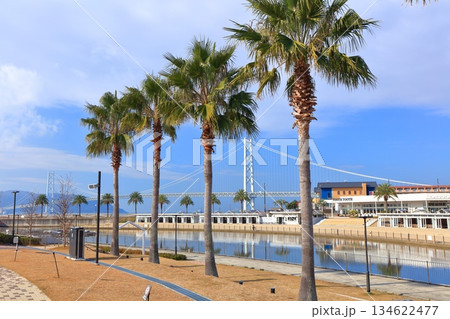 【兵庫県】晴天の明石海峡大橋（三井アウトレットパークマリンピア神戸） 134622477