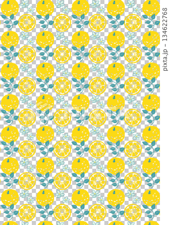 Retro style simple and pop yuzu illustration pattern 134622768
