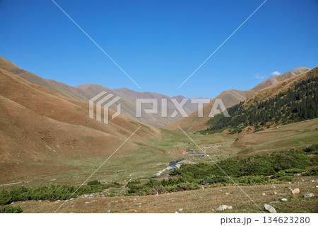 Mountain valley with a winding river and evergreen trees. Natural landscape Mountain valley with a winding river and evergreen trees. Natural landscape 134623280