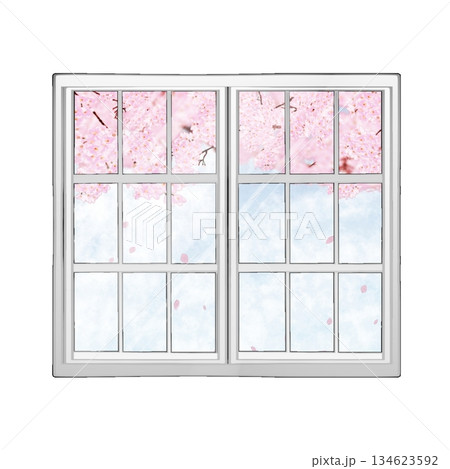 窓に映る桜 窓に映る桜 134623592