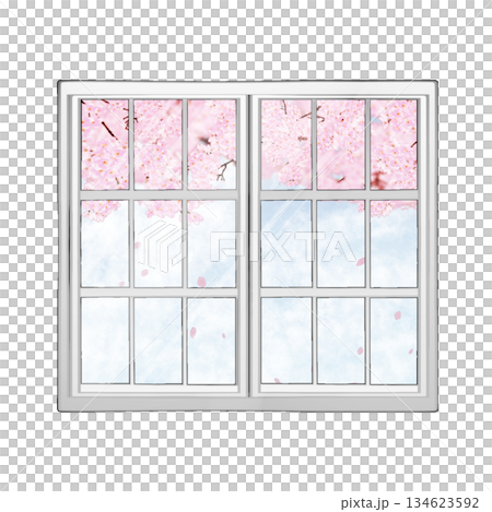 櫻花映在窗外 134623592
