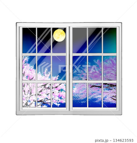 窓に映る桜 窓に映る桜 134623593