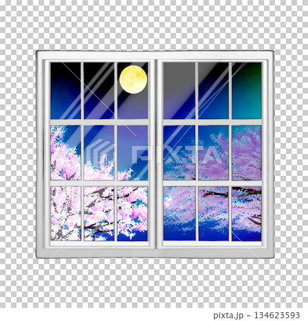 窓に映る桜 窓に映る桜 134623593