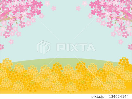 桜と菜の花が咲き誇る春の風景背景イラスト。青空とコピースペースのある明るい和風フレーム素材 桜と菜の花が咲き誇る春の風景背景イラスト。青空とコピースペースのある明るい和風フレーム素材 134624144