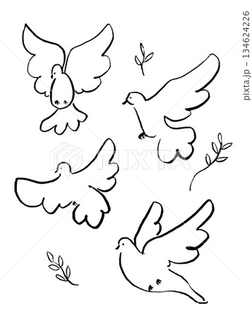 手描きの鳩、平和の象徴ハトのシンプルなラインアート 134624226