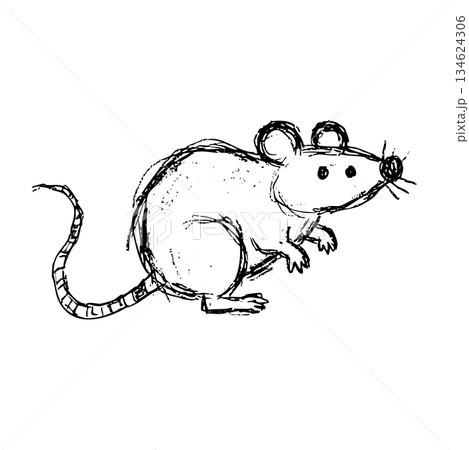 A black and white drawing of a mouse A black and white drawing of a mouse 134624306