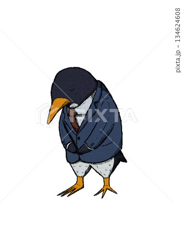 謝罪をするペンギンのサラリーマン 134624608