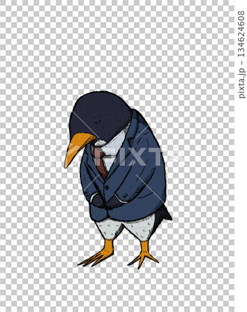 Apology penguin businessman 134624608