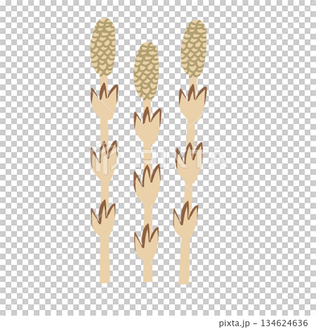 春の訪れ つくし(土筆)のシンプルなイラスト素材 春の訪れ つくし(土筆)のシンプルなイラスト素材 134624636