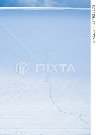 真冬の北海道美瑛町の丘から見た雪原に残った動物の足跡 134625172