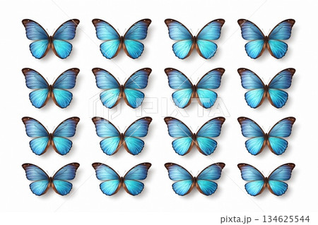 白背景に整列した青い蝶のミニマルデザイン / Minimal Blue Butterfly Patt 134625544