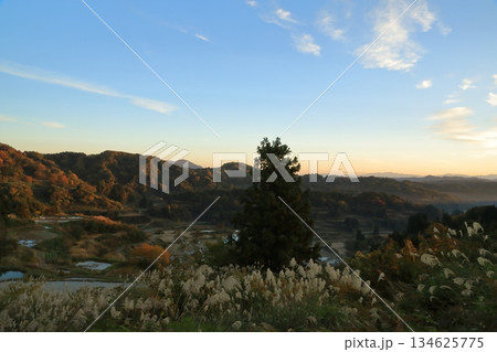 紅葉の季節の十日町星峠の棚田の風景 134625775