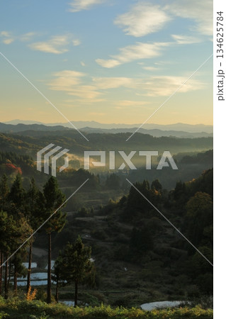 秋の早朝の霞がかかった十日町星峠の棚田の眺め 134625784