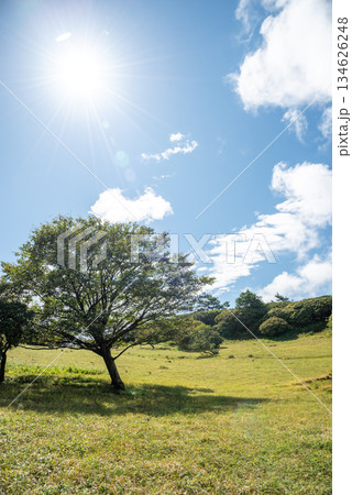 三重県 入道ヶ岳山頂からの眺望 三重県 入道ヶ岳山頂からの眺望 134626248