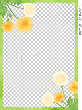 水彩蒲公英背景圖 134626459