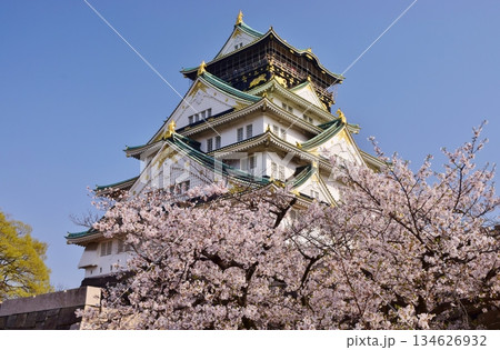 大阪城　さくらの咲く季節 134626932