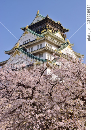 大阪城　さくらの咲く季節 134626934