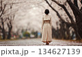 日本人女性の後ろ姿 134627139