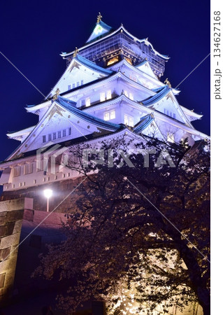 大阪城 春のライトアップ 大阪城 春のライトアップ 134627168
