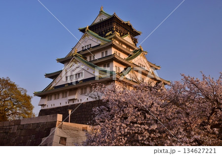 夕暮れの大阪城　 134627221