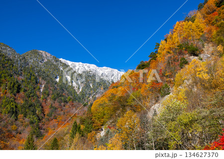 長野県大町市平高瀬入　高瀬渓谷七倉山荘前の駐車場からの紅葉と冠雪した尾根の景色 134627370