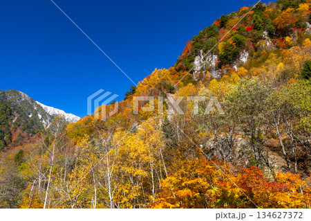 長野県大町市平高瀬入　高瀬渓谷七倉山荘前の駐車場からの紅葉と冠雪した尾根の景色 134627372