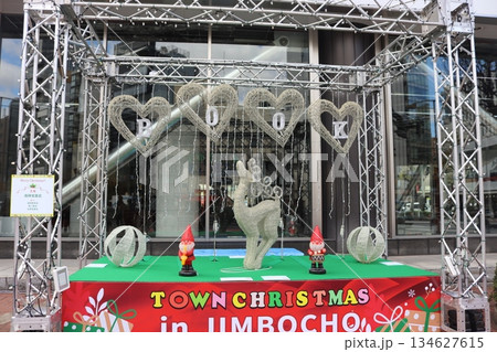 ライトアップの準備 ライトアップの準備 134627615