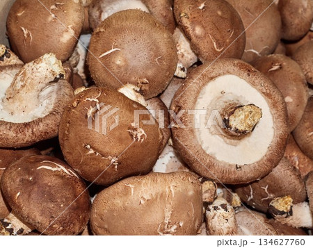 Fresh shiitake mushroom close up as background. Top view. 134627760
