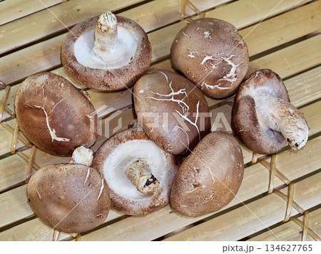 Fresh shiitake mushroom close up as background. Top view. 134627765
