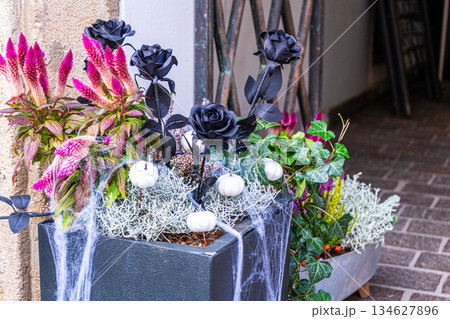 Flower composition for Halloween. Black roses and white pumpkins in a web. plants in a pot on the floor of the house. Autumn door decor 134627896