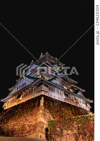 ローアングルで捉えた大阪城の幻想的な夜景 ローアングルで捉えた大阪城の幻想的な夜景 134628304