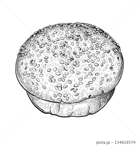 Hamburger bun sketch 1 Hamburger bun sketch 1 134628574